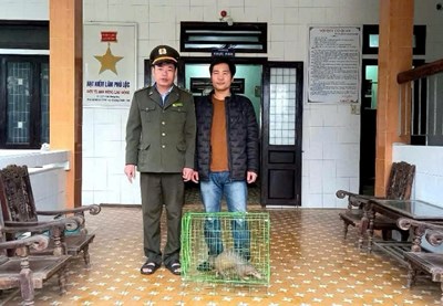 Handing over rare Javan Pangolin