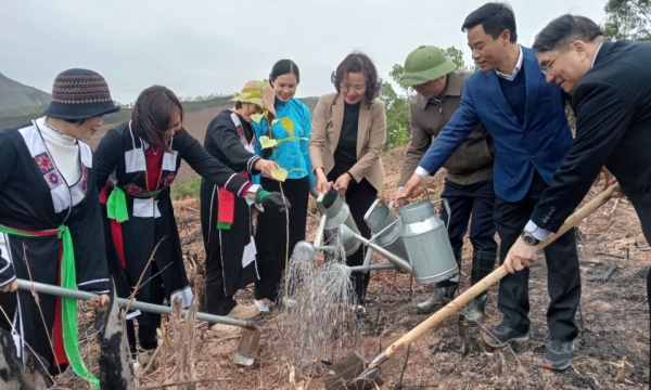 Planter activement des forêts au début du printemps