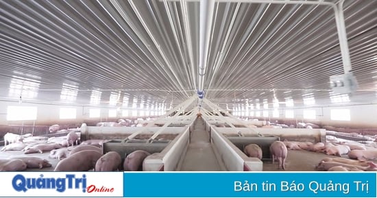 More than 275 billion VND invested in pig farm project in Cam Tuyen commune