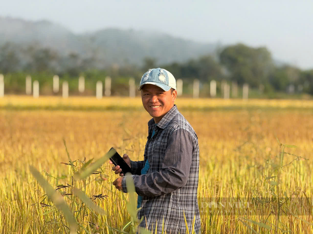 Anh phóng viên trồng lúa “ngon nhất thế giới” tại Lâm Đồng, bán 40.000 đồng/kg - Ảnh 2.