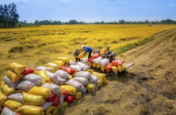 Экспорт сельскохозяйственной продукции в США остается стабильным