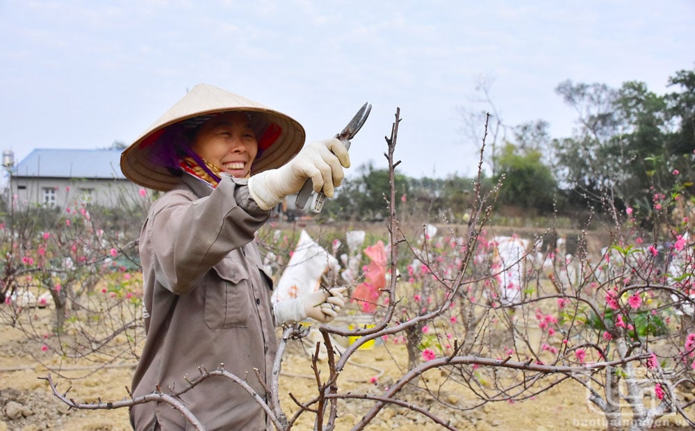 "Khai xuân" ruộng vườn cùng nông dân