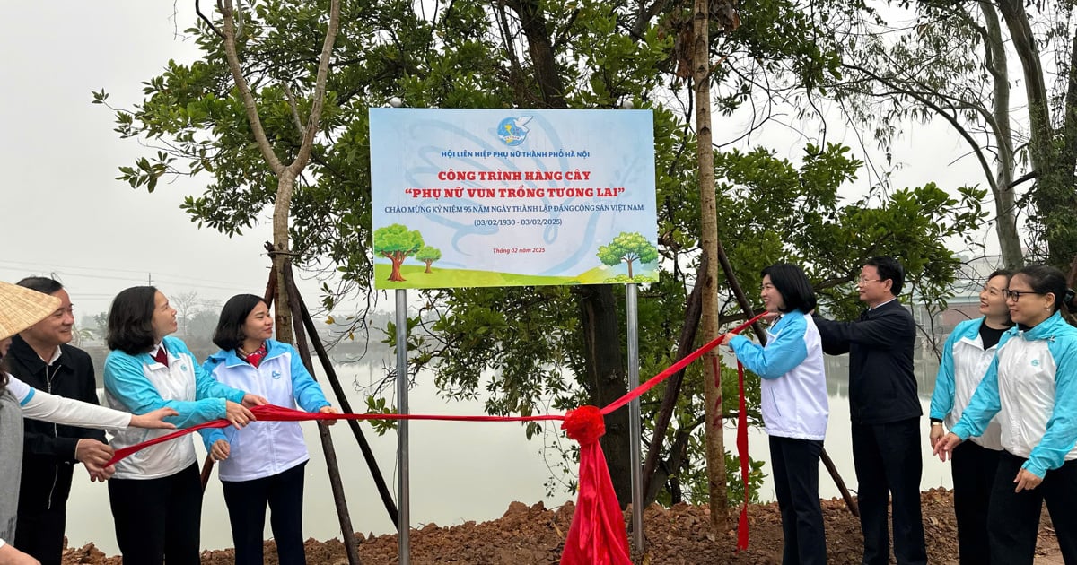 Hanoi : lancement de la plantation de l'arbre du Têt