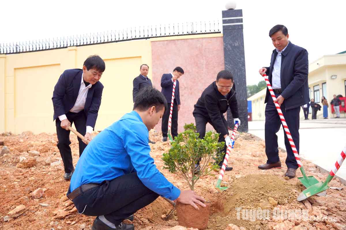 Công ty Điện lực Tuyên Quang hưởng ứng Tết trồng cây đời đời nhớ ơn Bác Hồ xuân Ất Tỵ 2025