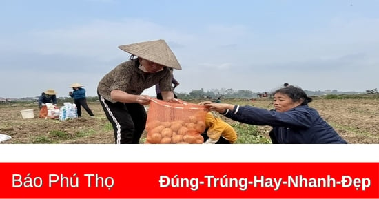 Sơn Vi “đón lộc” đầu Xuân