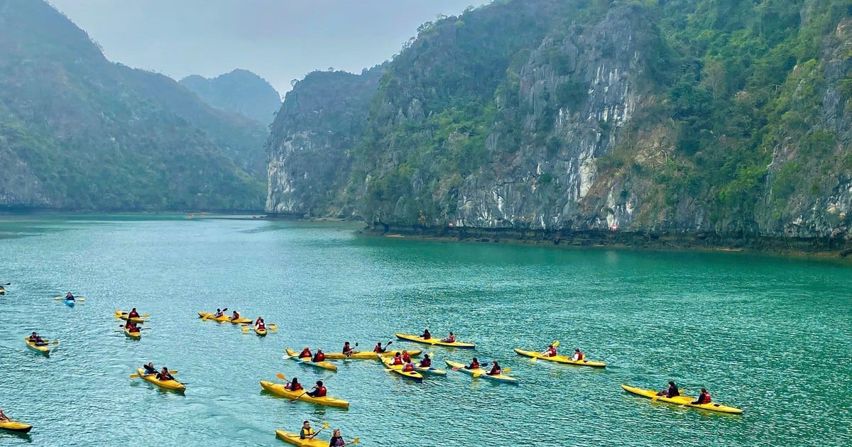 « Effet de levier » de 1 000 milliards de dollars provenant de la saison touristique exceptionnelle du début du printemps à At Ty