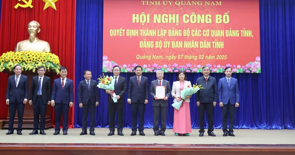 Quang Nam established Party Committees of provincial Party agencies and Provincial People's Committee Party Committee