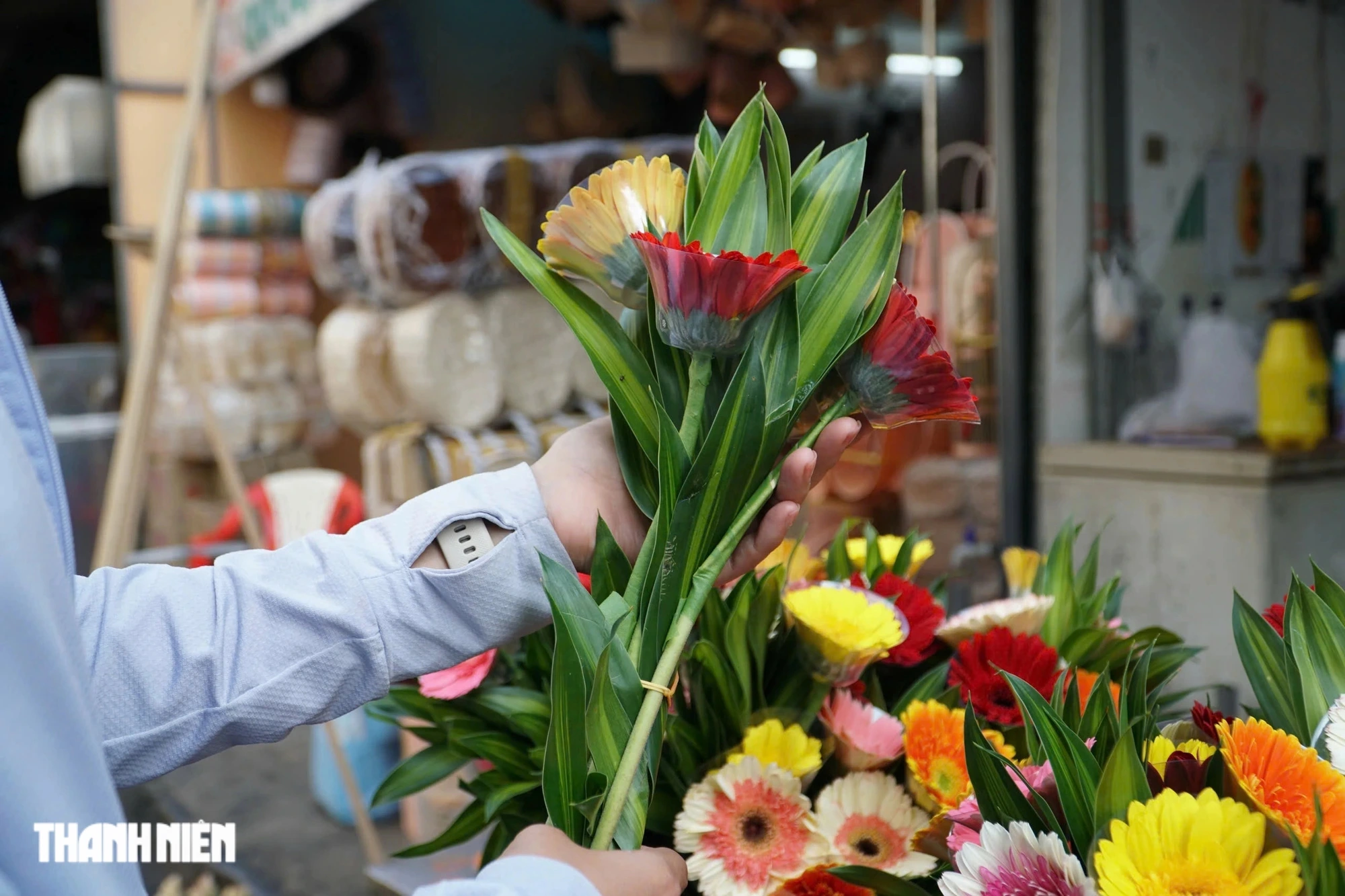 The price of gerbera daisies on God of Wealth Day in Ho Chi Minh City increased 3-5 times: Customers happily bought them.