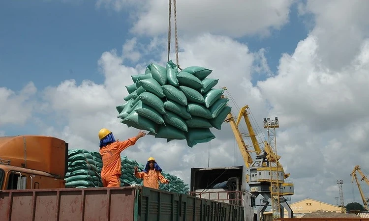 Expansion du marché, maintien de la croissance des exportations de riz