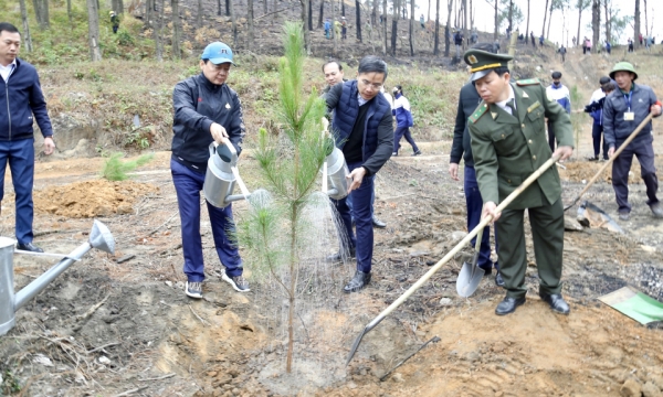 Vizepremierminister Tran Hong Ha nimmt an der Eröffnung des Baumpflanzfestivals in Uong Bi City teil