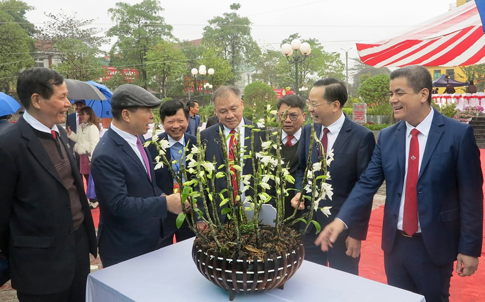 Die erste Supe Lam Thao Blume - Zierpflanzenfest Frühling am Ty 2025