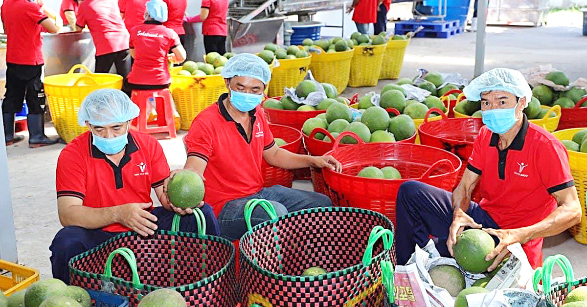 Nhiều quy định mới nghiêm ngặt hơn, hàng nông sản xuất khẩu EU vướng thêm rào cản