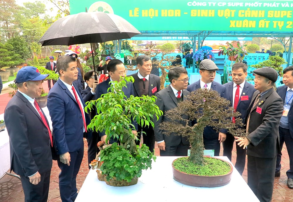 Die erste Supe Lam Thao Blume - Zierpflanzenfest Frühling am Ty 2025