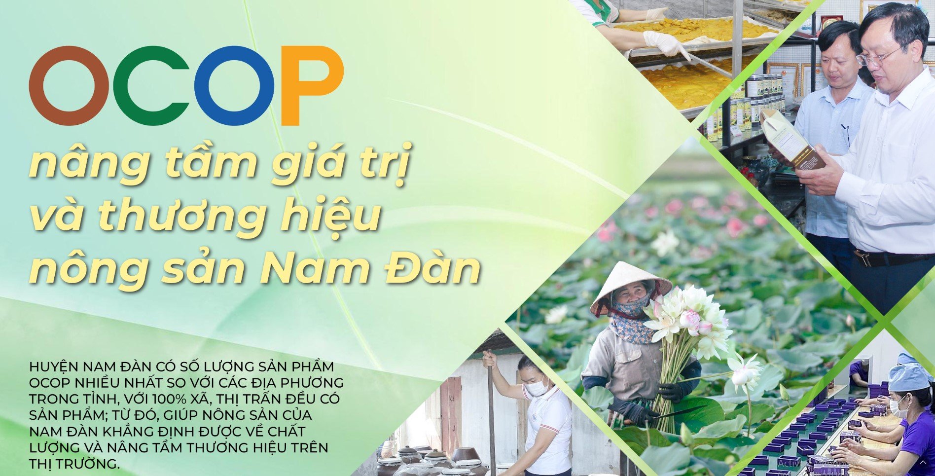 OCOP enhances the value and brand of Nam Dan agricultural products