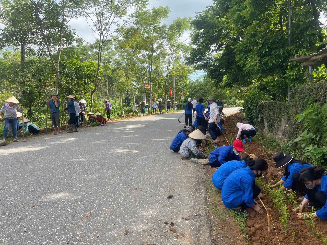 Neuer Frühling Phu Nham