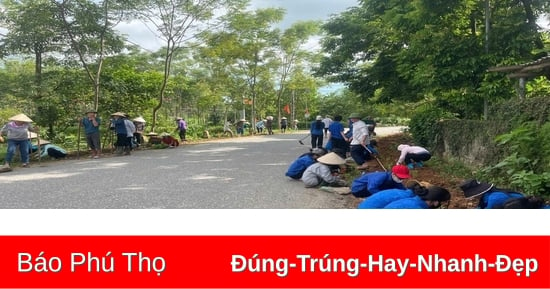 Xuân mới Phú Nham