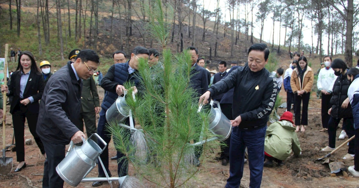 El viceprimer ministro Tran Hong Ha asiste a la ceremonia de inauguración del Festival de Plantación de Árboles en la provincia de Quang Ninh