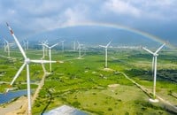 Die Provinz Ninh Thuan ist derzeit neben der Kernenergie ein Zentrum für interregionale Dienstleistungen im Bereich erneuerbare Energien und wird damit eine neue Position im Energiesektor einnehmen.