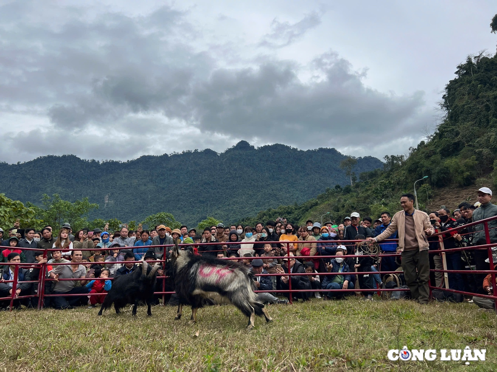 tuyen Quang man hoi thi choi de tai lam binh hinh ១៣