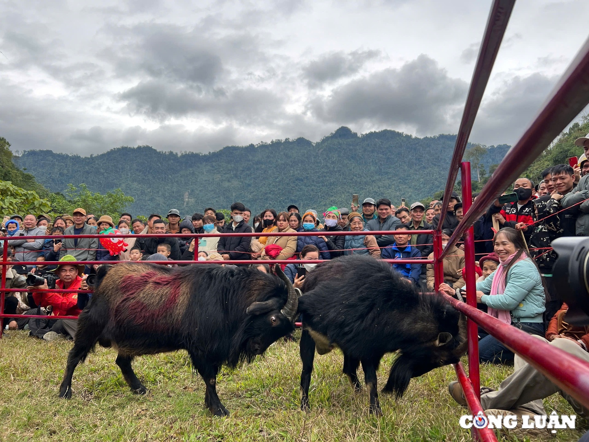 tuyen Quang man hoi thi choi de tai lam binh hinh ៦