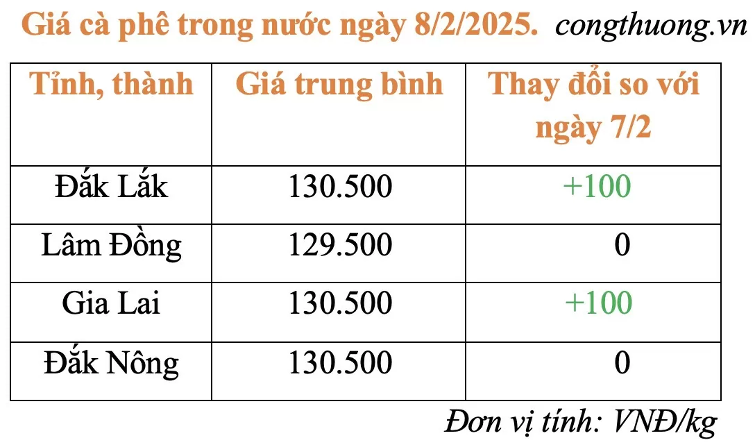 Giá cà phê hôm nay 8/2/2025: