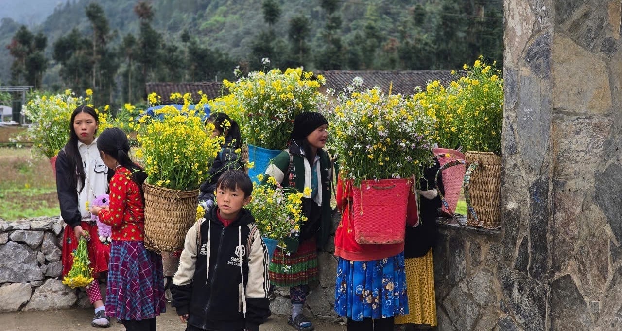 Ha Giang – une destination de voyage attrayante pour le printemps au début de l'année