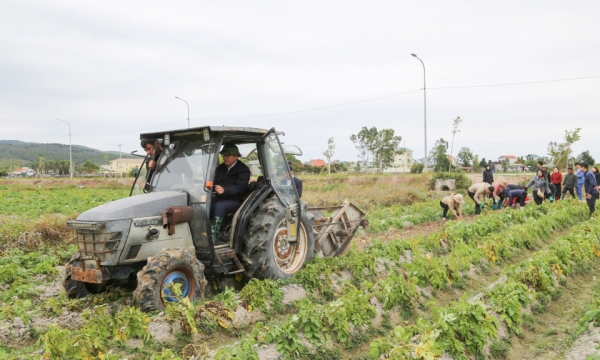 En los campos de cultivo de primavera...