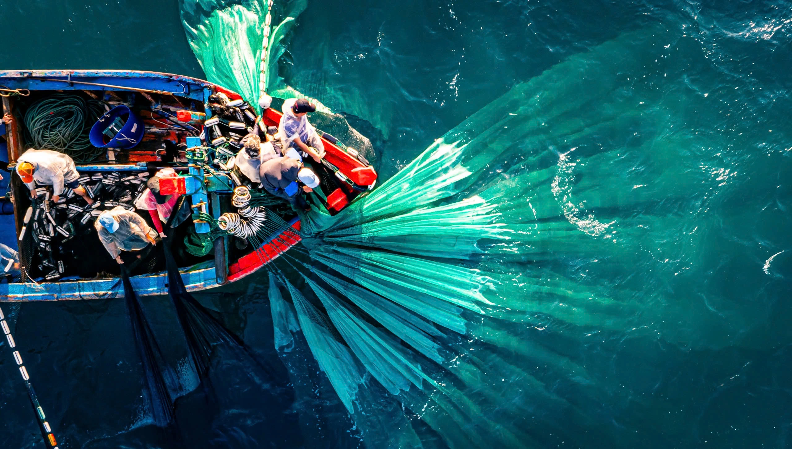 Full of fish in the hold, Binh Dinh fishermen hit the jackpot, earning millions after each trip