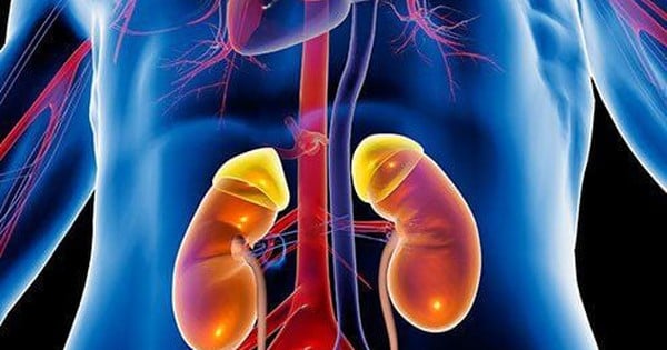 9 daily habits that destroy the kidneys terribly, Vietnamese people should know to avoid