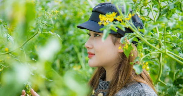 In this place of Dak Nong, the 22ha farm raises wild animals such as chickens, the garden is as beautiful as in the movies.