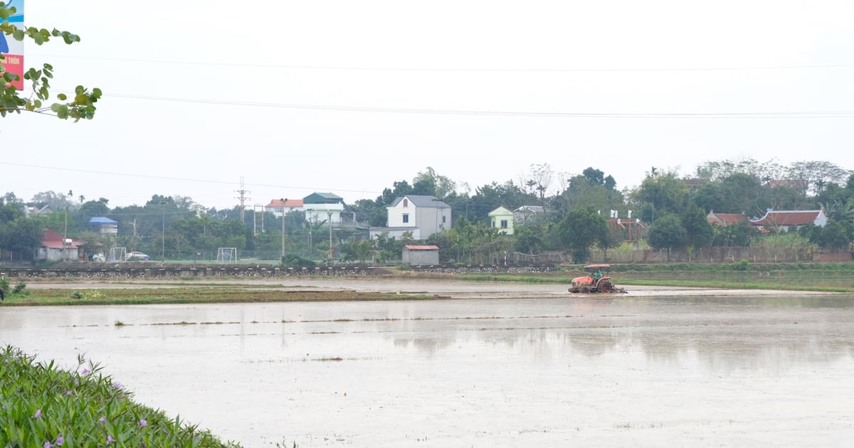 Operación de toma de agua en la estación de bombeo del campo Trung Ha (distrito de Ba Vi).