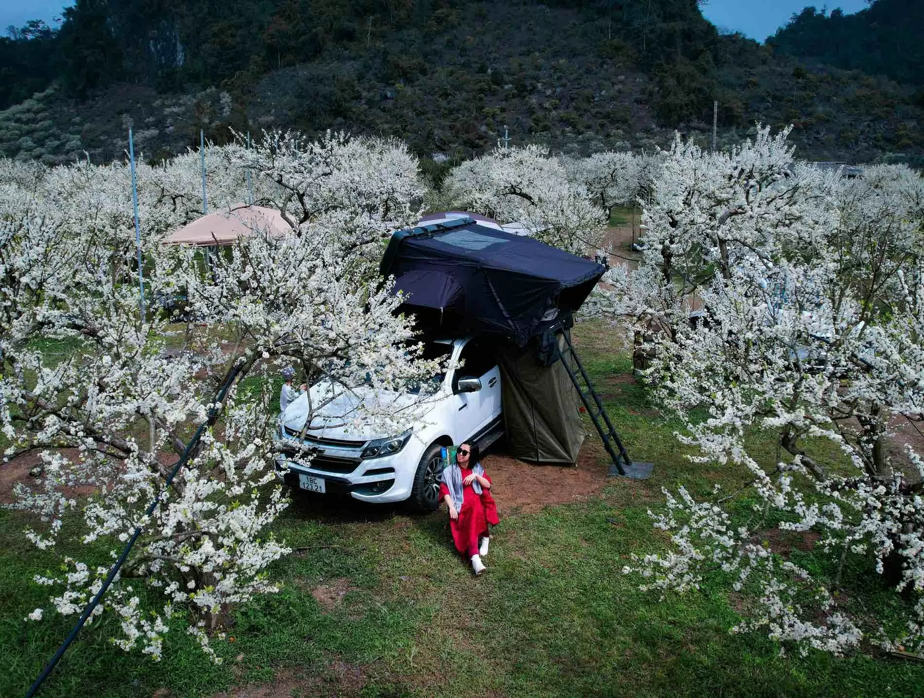 Touristen kommen nach Moc Chau und campen inmitten der blühenden Pflaumengärten