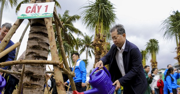 Des centaines de personnes ont bravé la pluie pour participer au festival de plantation d'arbres du printemps 2025 le long de la côte de Da Nang