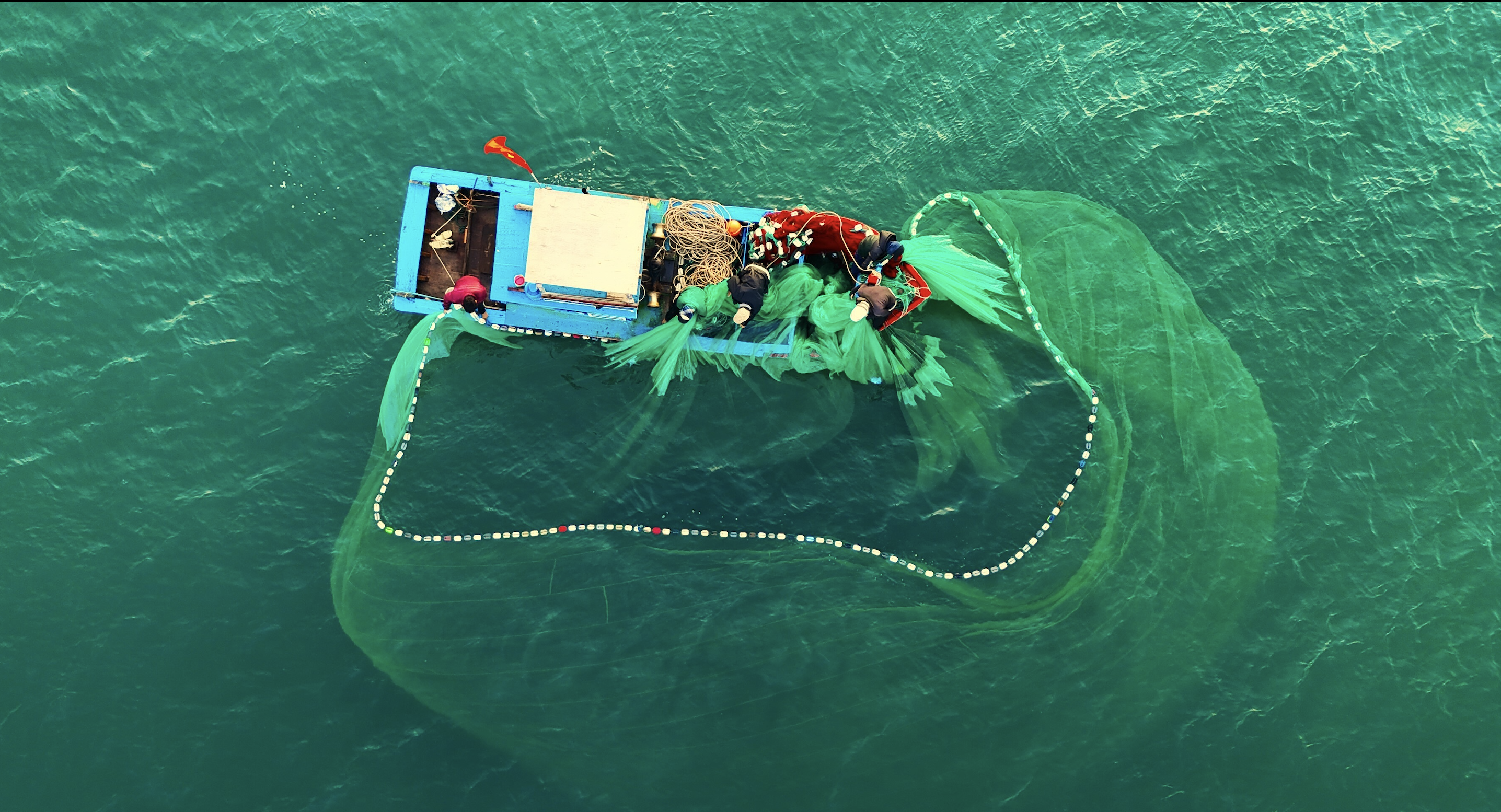 Fascinating beauty of Binh Dinh fishermen's net season 'blossoming' at sea