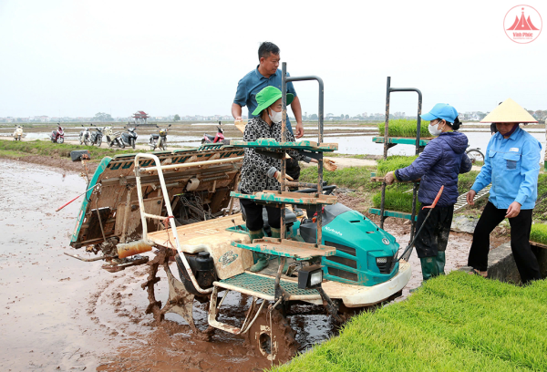 Khẳng định vai trò của kinh tế tập thể