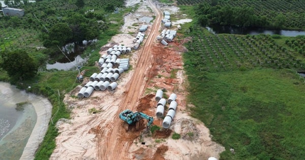 Speed ​​up construction of Hon Lan coastal road