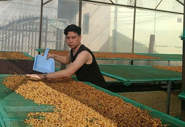 Coffee price forecast for tomorrow, February 9, 2025, is not exciting