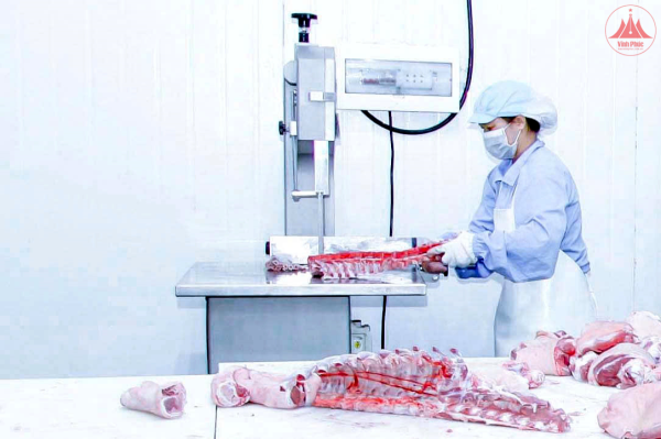 Developing modern slaughter industry associated with processing investment