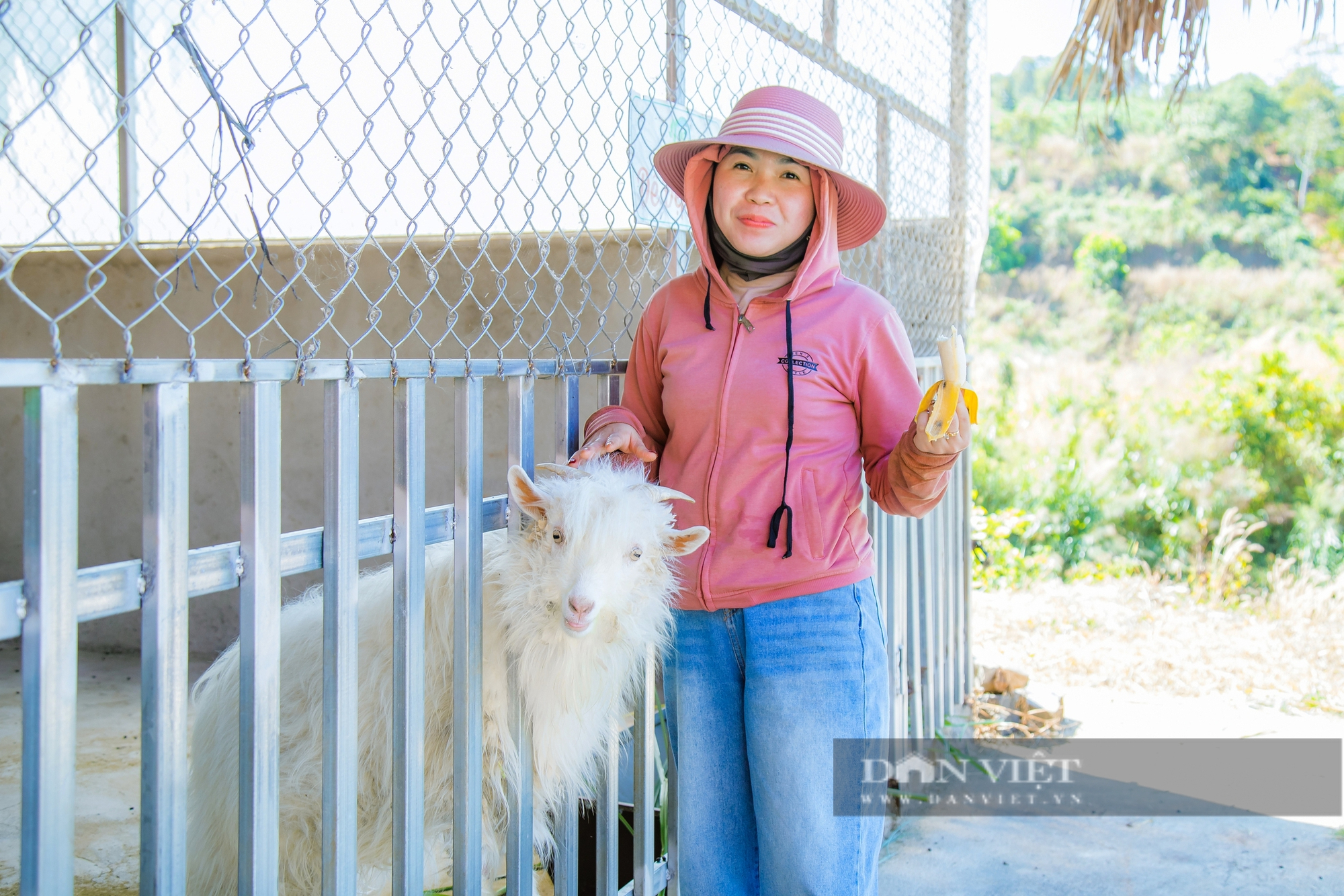 Một nông trại sạch ở Đắk Nông thu hút hàng nghìn du khách bởi những trải nghiệm độc đáo - Ảnh 10.