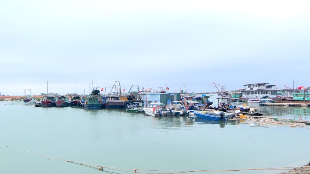 Quang Yen Town's fishing fleet docked at Ben Giang, Tan An ward, preparing to depart for early spring fishing.