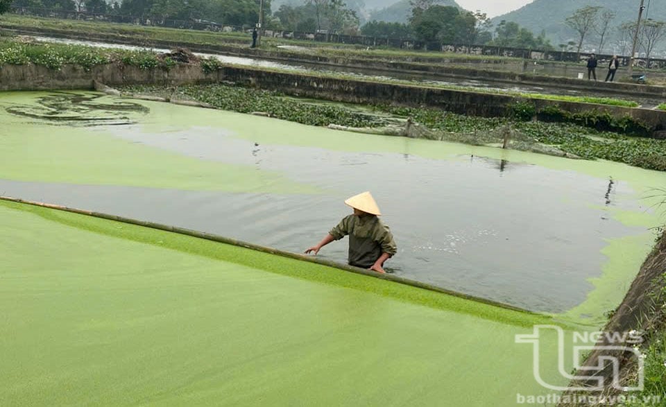 6,150ヘクタールの水面を養殖に活用