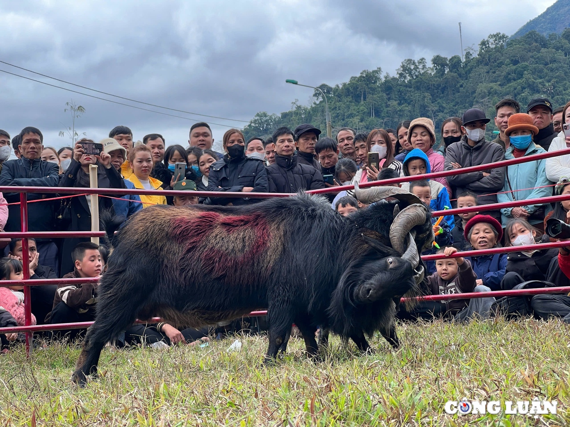 tuyen Quang man hoi thi choi de tai lam binh hinh ៧