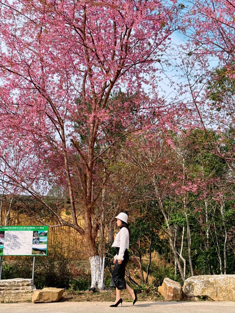 Spring in Nguyen Binh mountains and forests lingers in the flower season photo 10