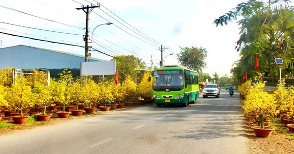 La comuna "muy pobre" de Ciudad Ho Chi Minh ahora tiene gente que gana 100 millones por persona y año, una nueva y moderna zona rural.