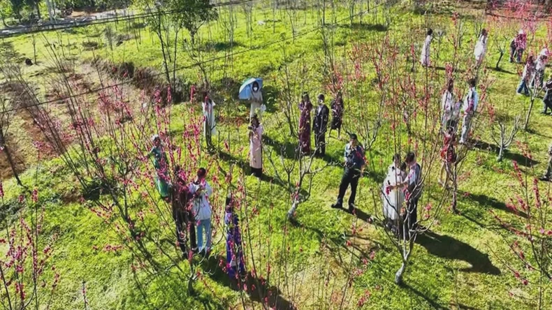 Festival de la Flor del Melocotón Brillante 2025, foto 1