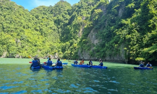 Maintenir la marque de patrimoine mondial de la baie d'Ha Long