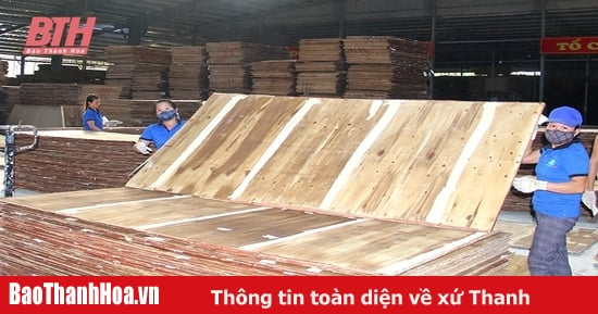 Thành lập Cụm công nghiệp Xuân Cao 2, huyện Thường Xuân