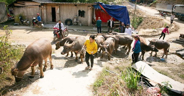 Un district de Ha Giang, réduction durable de la pauvreté, nouvelle construction rurale grâce à la politique ethnique