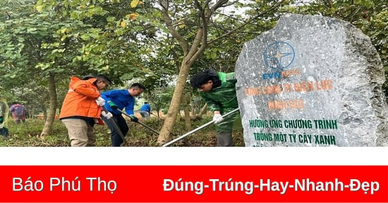 Phu Tho Power Company launched the campaign to respond to "Tree Planting Festival 2025"