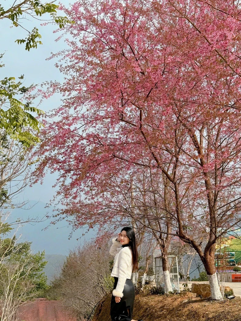 Spring in Nguyen Binh mountains and forests lingers in the flower season photo 8